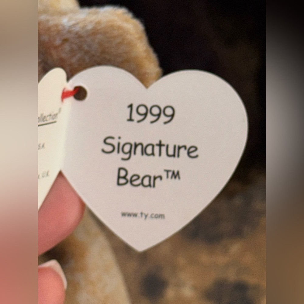 🧸 Ty Beanie Baby Signature Bear 4-Piece Set 1999 2000 2003 2004 Collectible - Picture 6 of 11